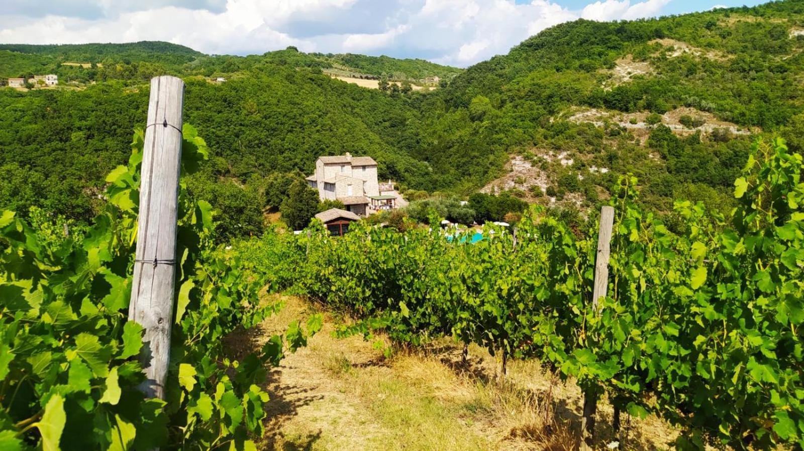 Re Artu Assisi Country Lifestyle Aparthotel Exterior foto